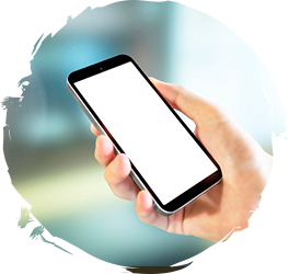 戦国ハイブリッドプラン