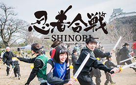 忍者合戦