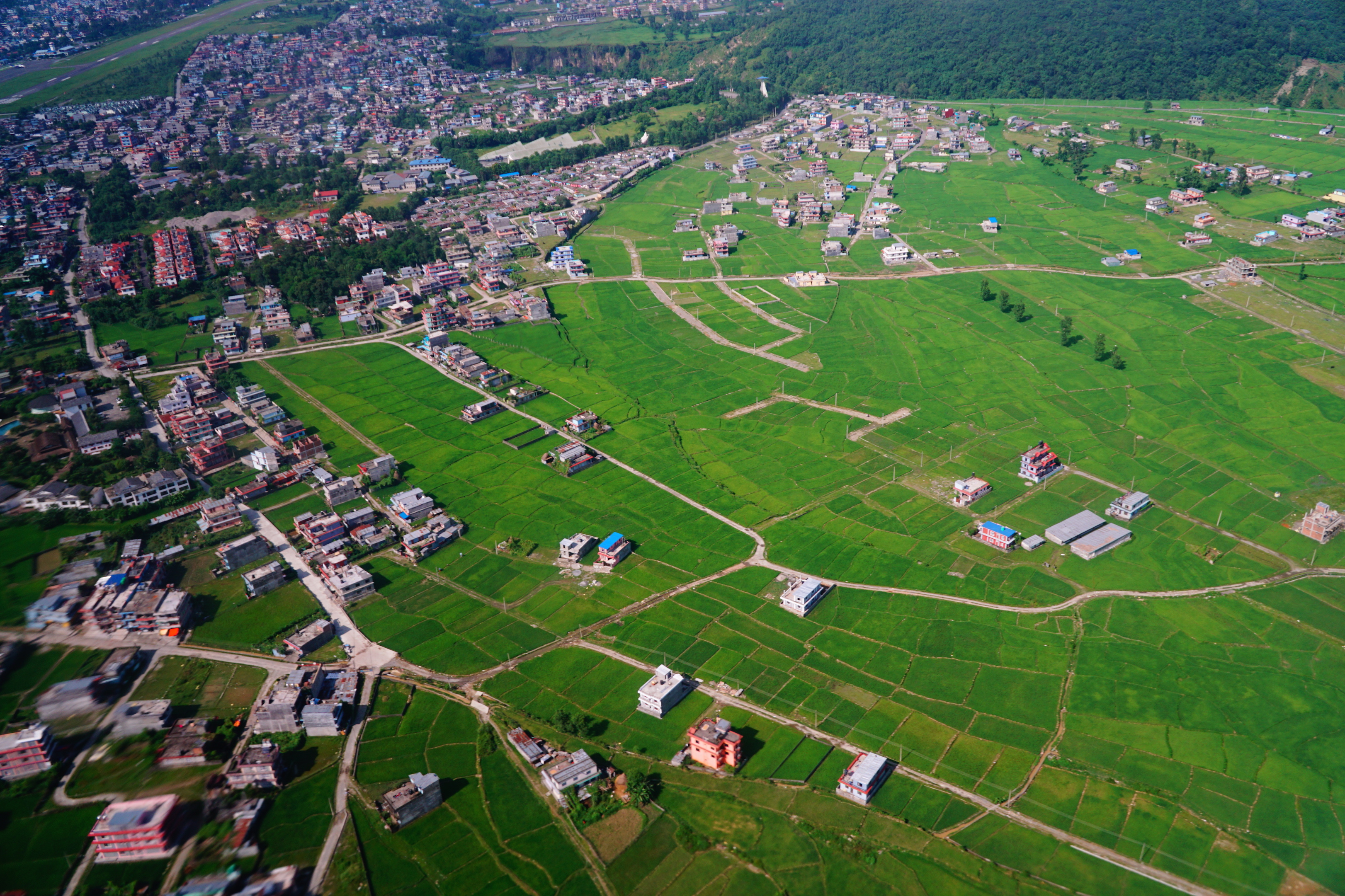 DSC08143 のコピー