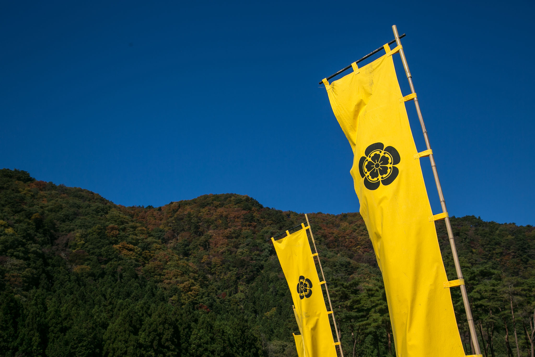 edomura_1105-6